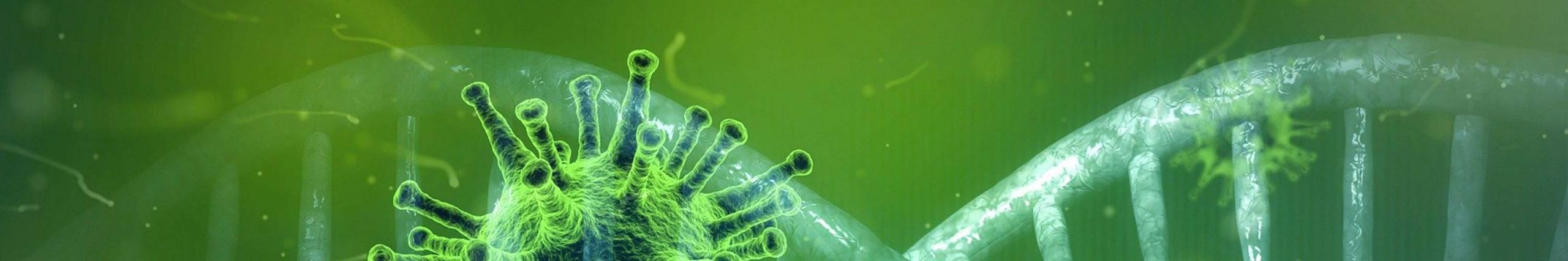 Coronavirus scaled