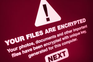 AdobeStock 164071544 1 300x199